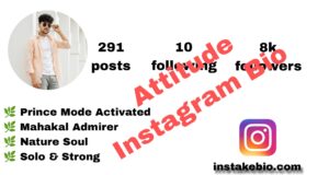 500+ Best Instagram Bio Attitude | VIP and Unique