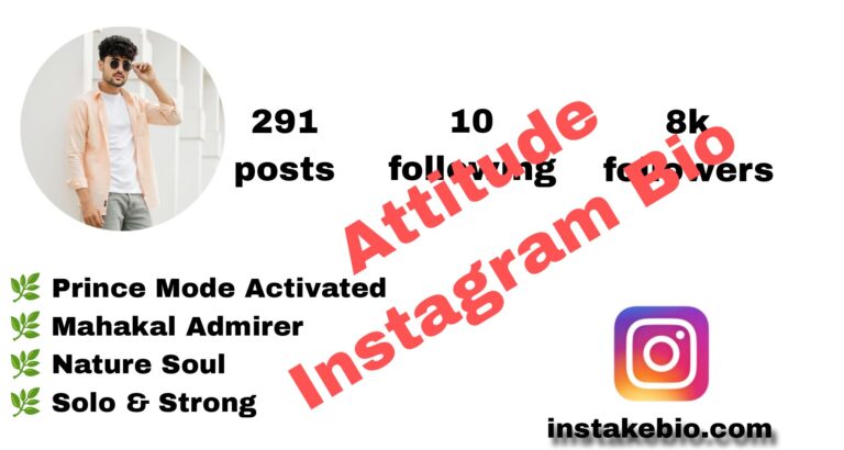 500+ Best Instagram Bio Attitude | VIP and Unique