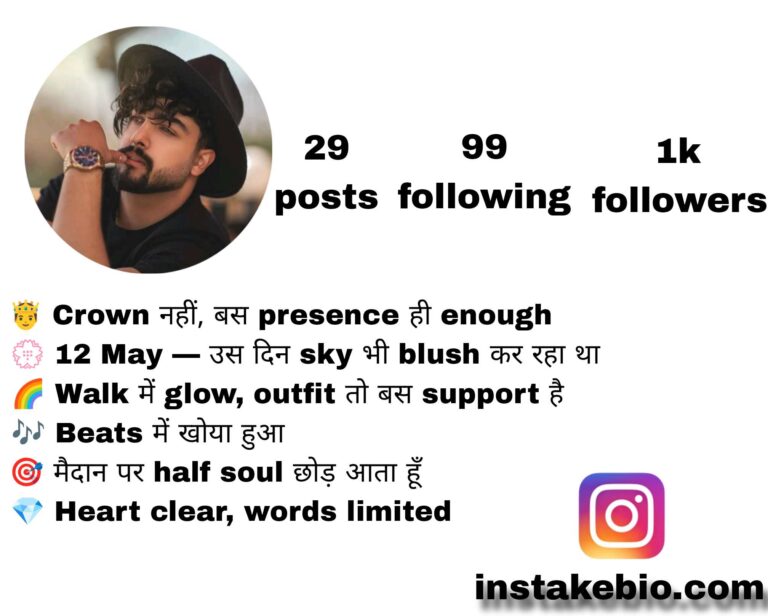 150+ Best TikTok Bio Stylish | Instagram Attitude and VIP