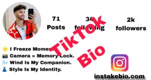 150+ Best TikTok Bio Stylish | Instagram Attitude and VIP