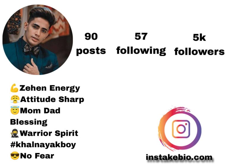 Best 214+ Blogger instagram Bio