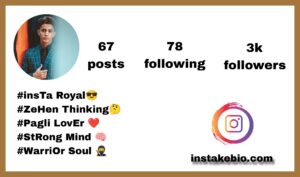 Best 214+ Blogger instagram Bio